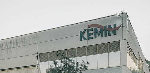 kemin