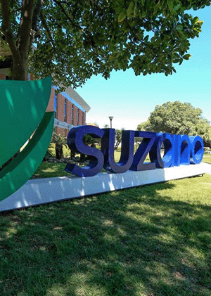 suzano